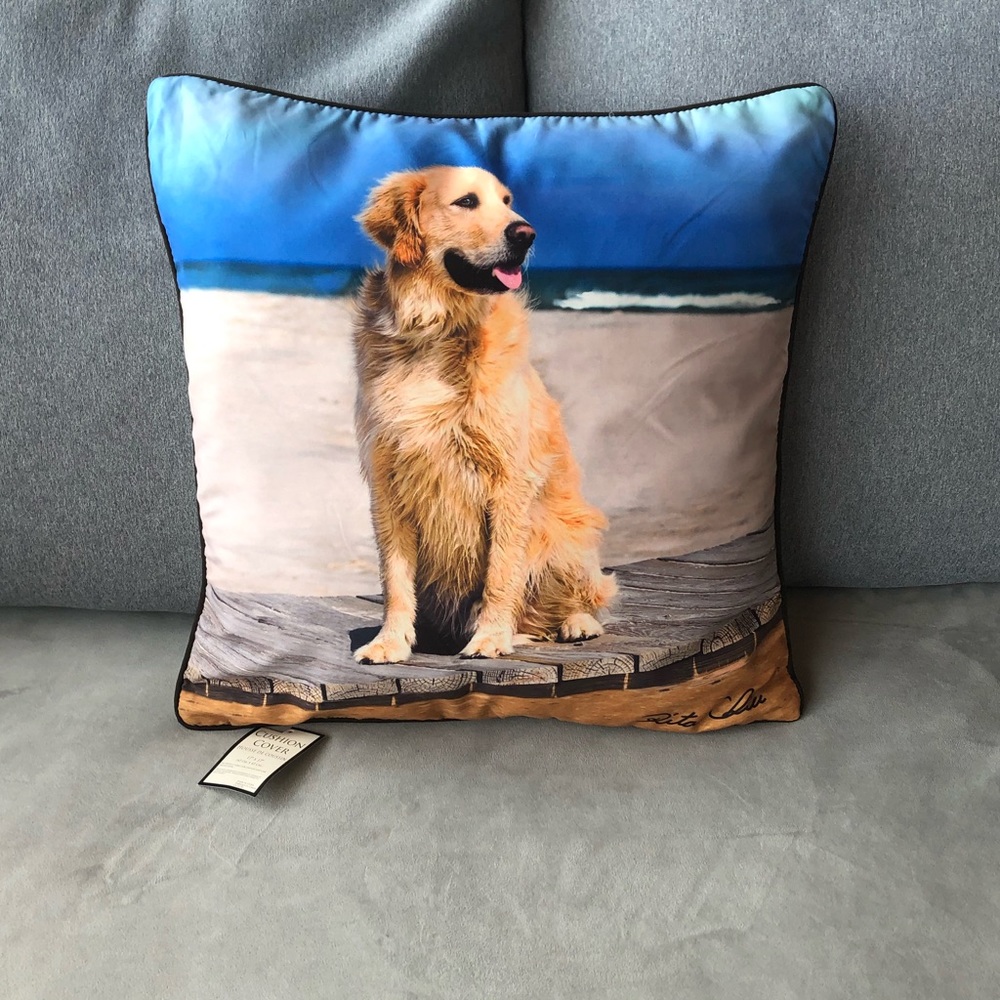 Cushion Cover 17” x 17” 🌟 HOST PICK 🌟 ~ Brand New!